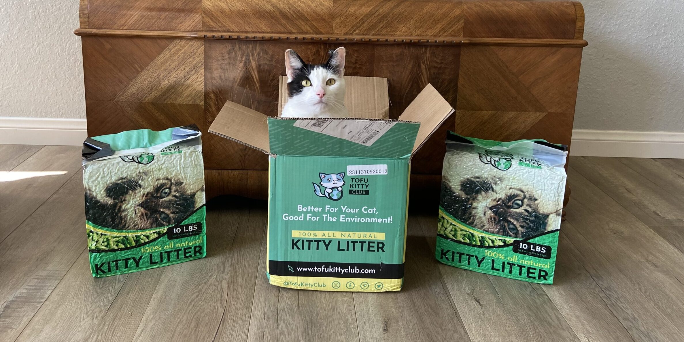 Sustainable Kitty Litter Sustainability Saturday